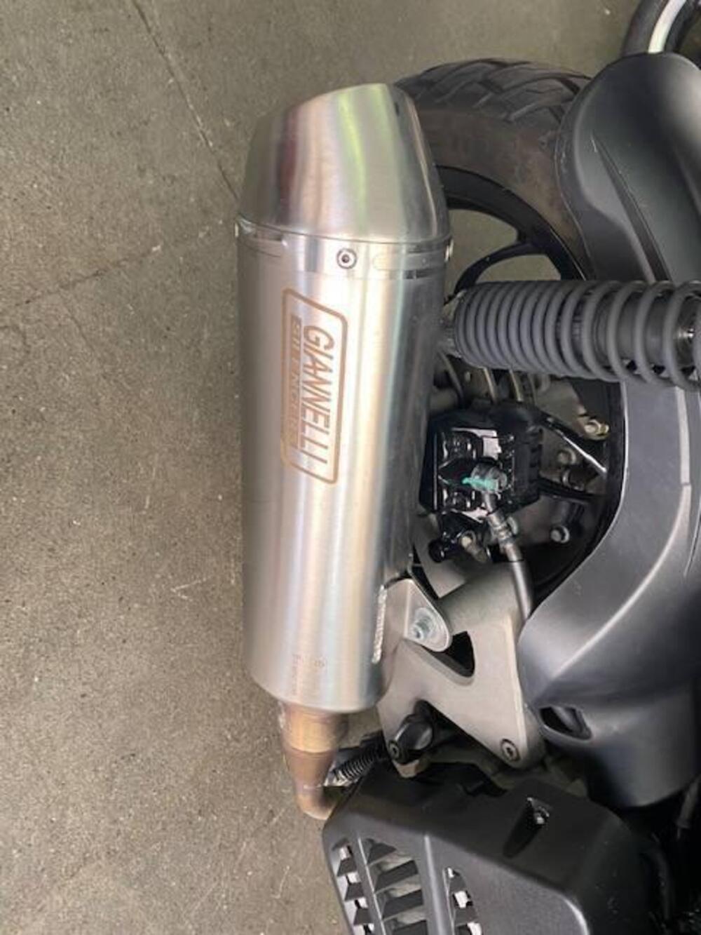 marmitta giannelli omologata