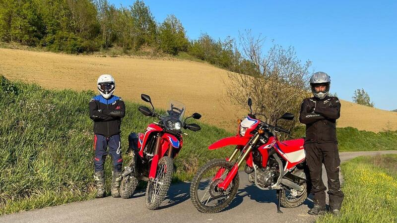 Honda CRF300L e Rally TEST: sono piccole, ma pronte a tutto