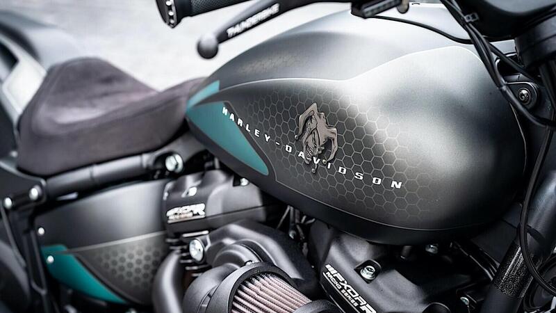 Harley-Davidson FXDR &ldquo;Jester&rdquo;. Omaggio alla Yamaha M1 Petronas