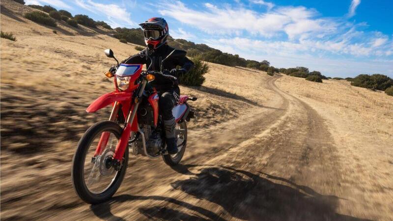 Negli USA le vendite crescono forte. Grazie al fuoristrada