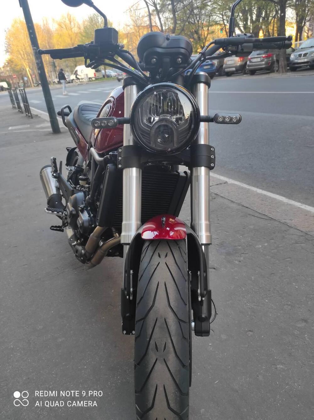 Benelli Leoncino 500 (2021 - 25) (5)