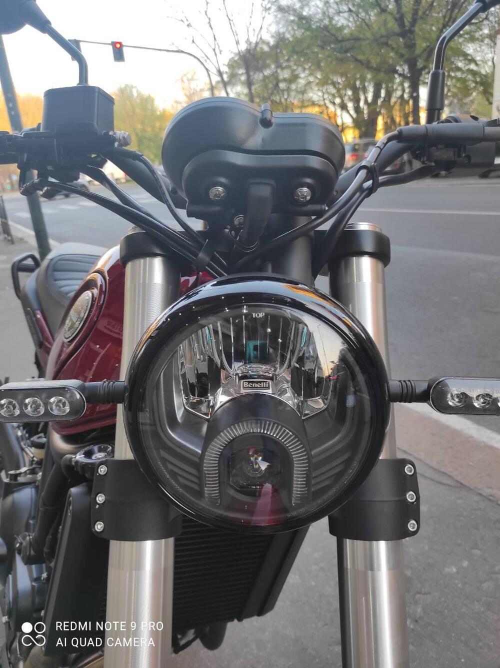 Benelli Leoncino 500 (2021 - 25) (6)