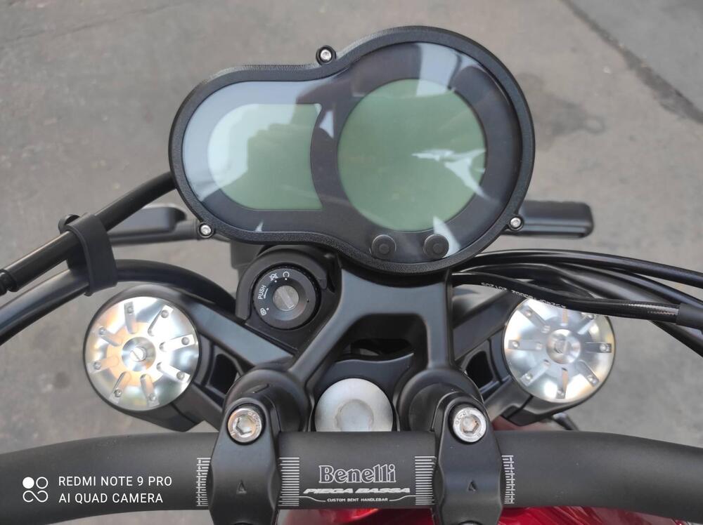 Benelli Leoncino 500 (2021 - 25) (7)