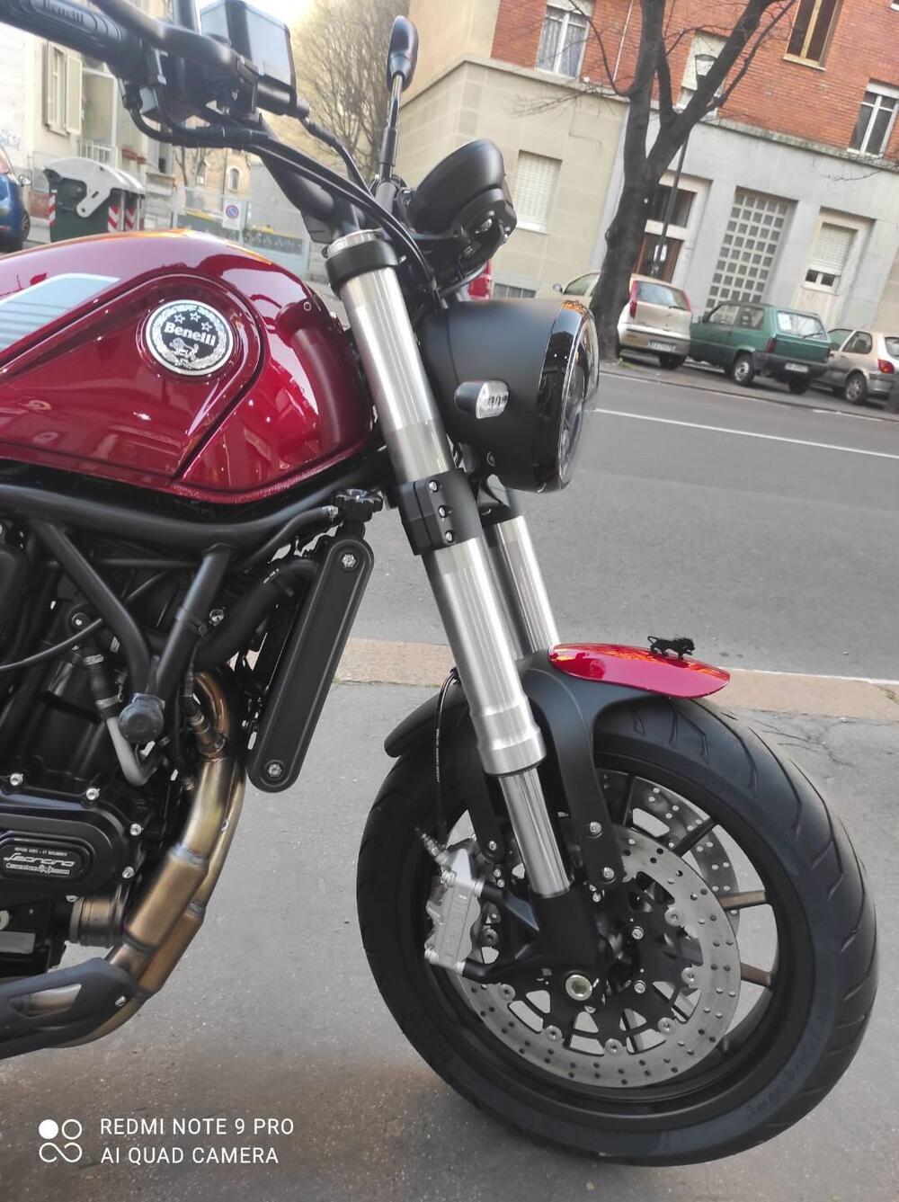 Benelli Leoncino 500 (2021 - 25) (10)