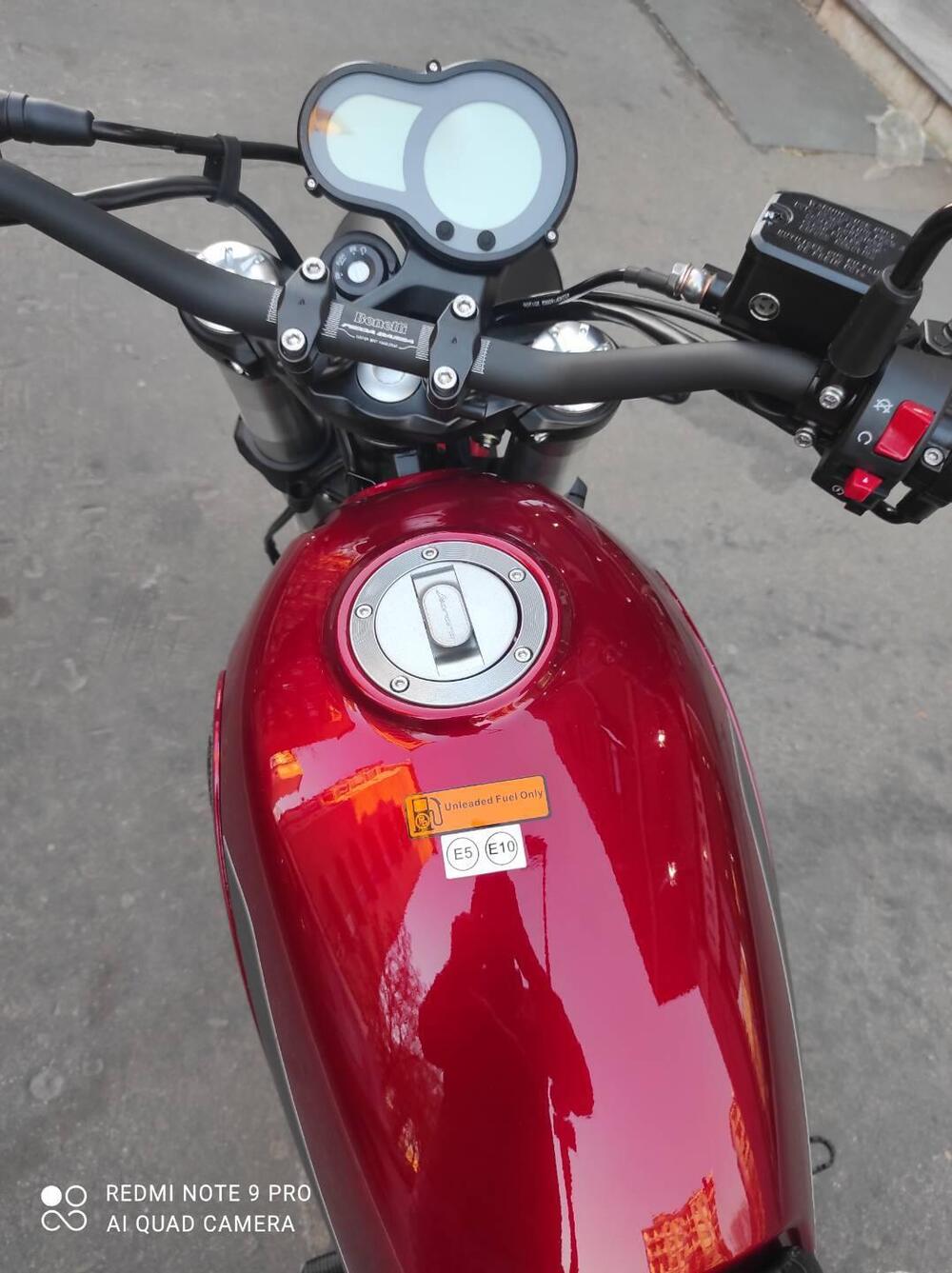 Benelli Leoncino 500 (2021 - 25) (16)