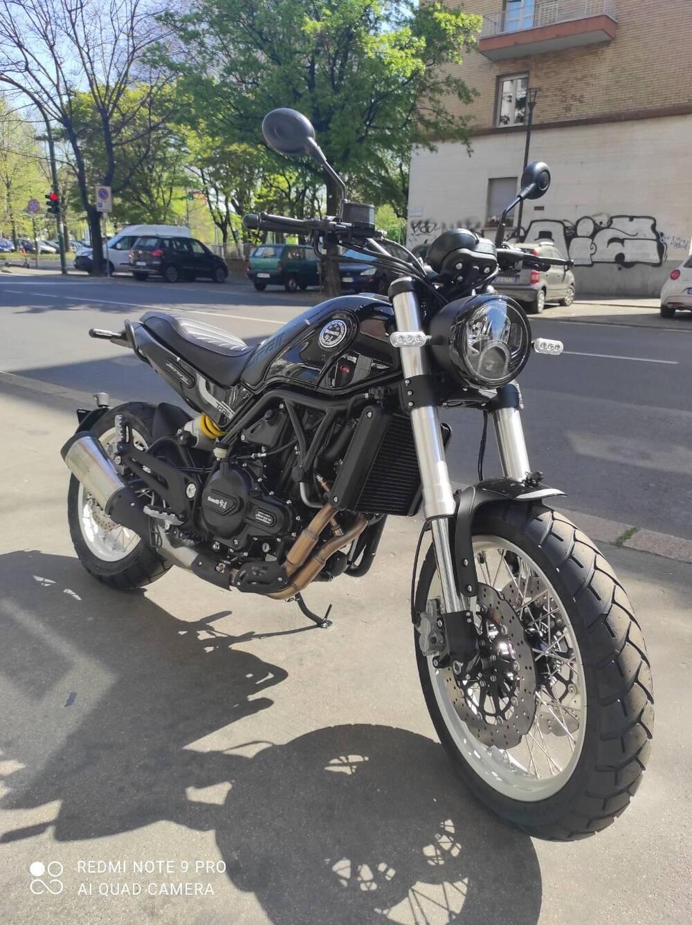 Benelli Leoncino 500 Trail (2021 - 25) (3)