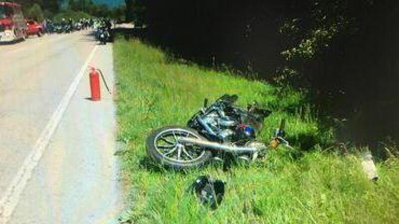 Belluno, capriolo centrato da motociclista