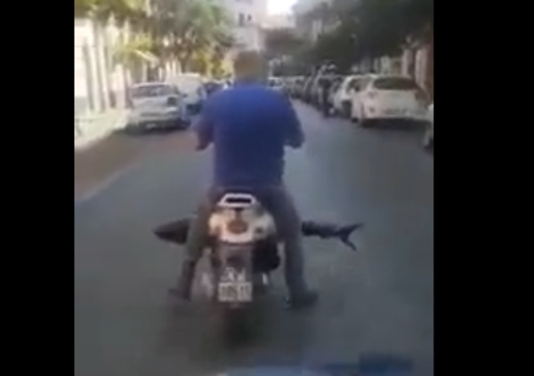 Uno squalo in scooter per le vie di Catania. Il video impazza in rete