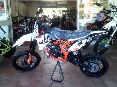  Altre moto o tipologie Pitbike nuova