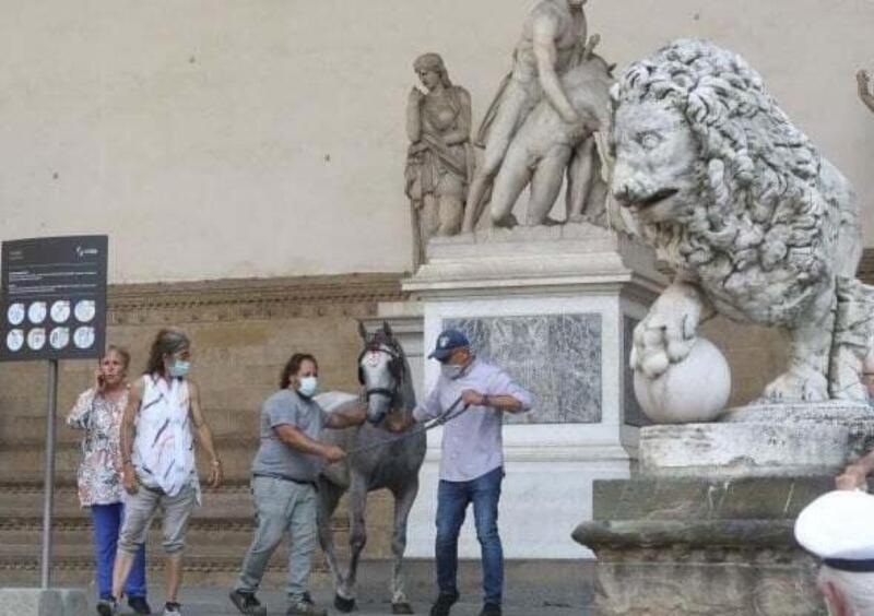 Firenze, cavallo imbizzarrito tampona l&#039;auto della ministra Lamorgese