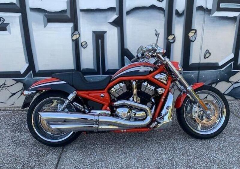 Harley-Davidson CVO - Custom Vehicle Operations 1250 V-Rod (2005 - 06) VRSCSE (2)