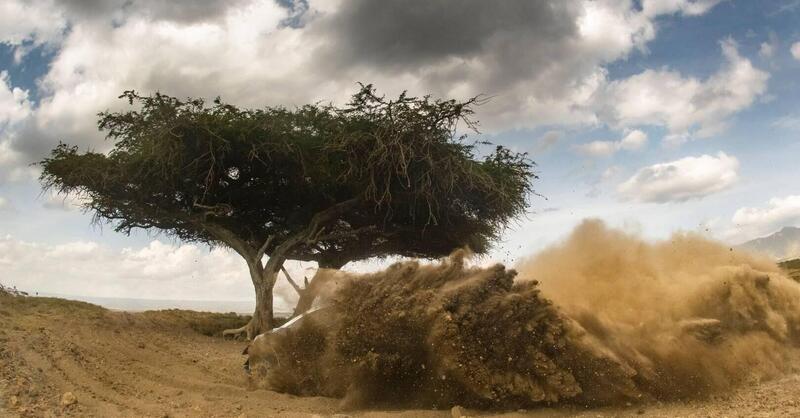 WRC 2021. Kenya. Ecatombe Safari. Si &ldquo;salva&rdquo; Neuville volando