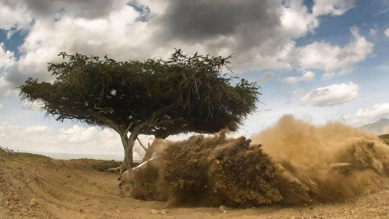 WRC 2021. Kenya. Ecatombe Safari. Si &ldquo;salva&rdquo; Neuville volando