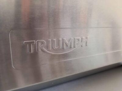 BORSE LATERALI EXPEDITION - ARGENTO Triumph