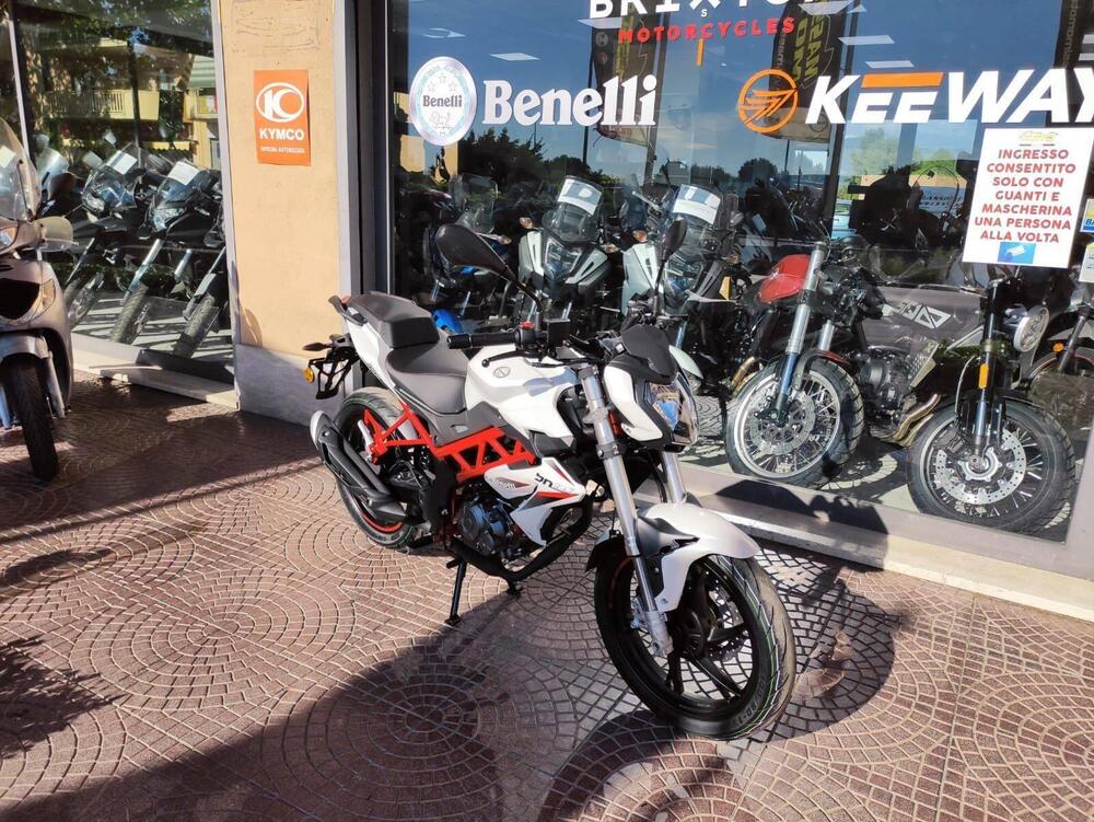 Benelli BN 125 (2021 - 25) (6)