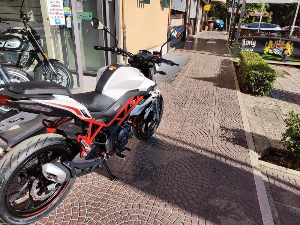 Benelli BN 125 (2021 - 25) (7)