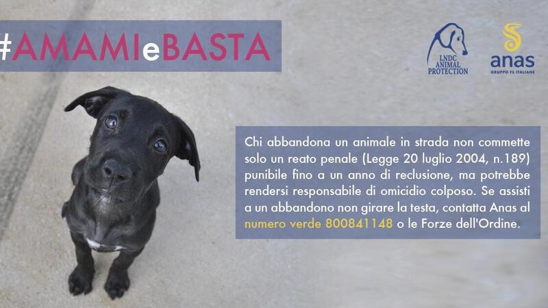 Anas lancia una campagna contro l&#039;abbandono degli animali