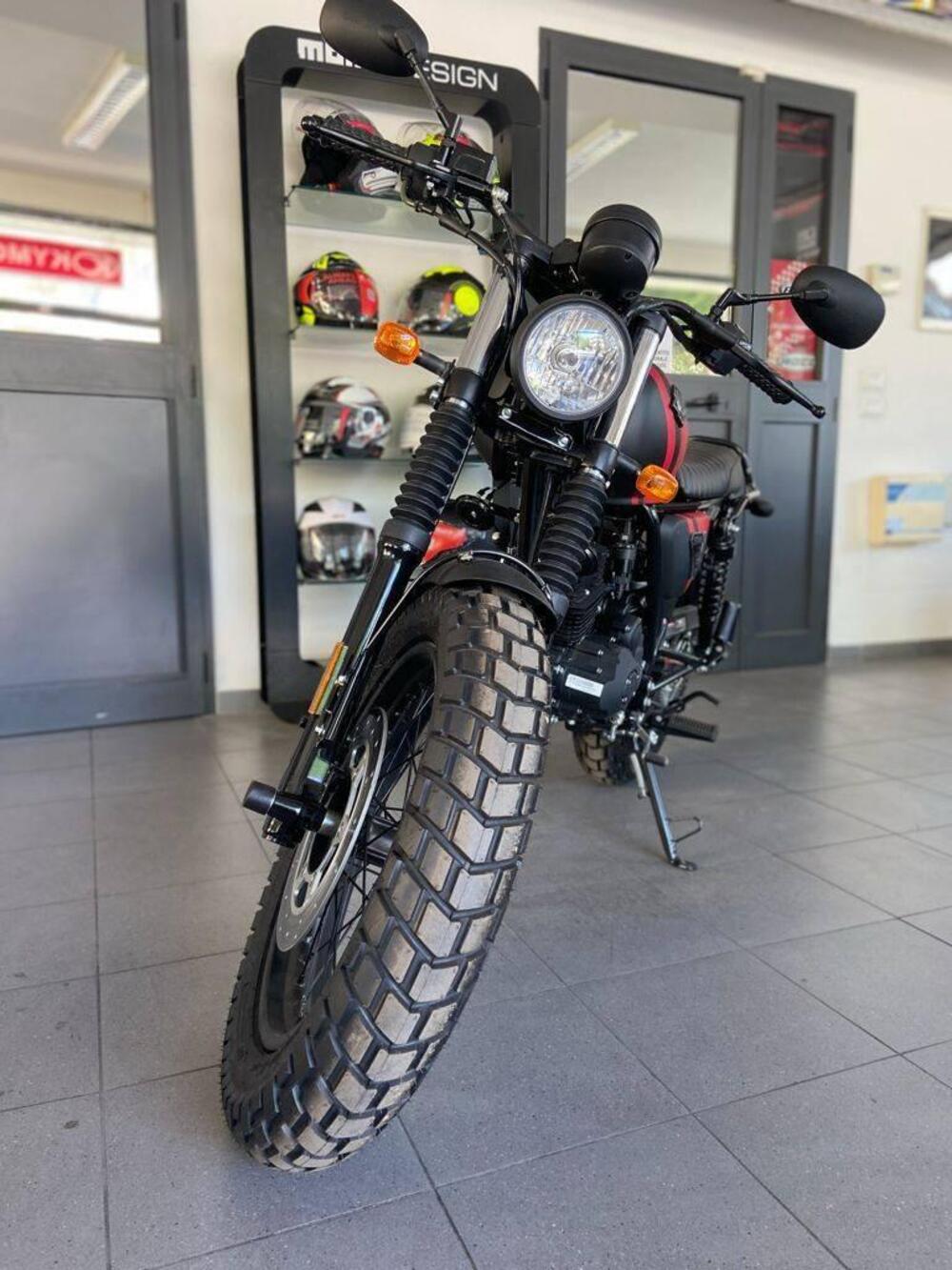 Archive Motorcycle AM 80 50 Cafe Racer (2019 - 20) (3)