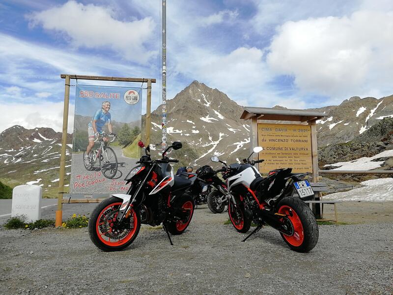 L&#039;arrivo sul Gavia