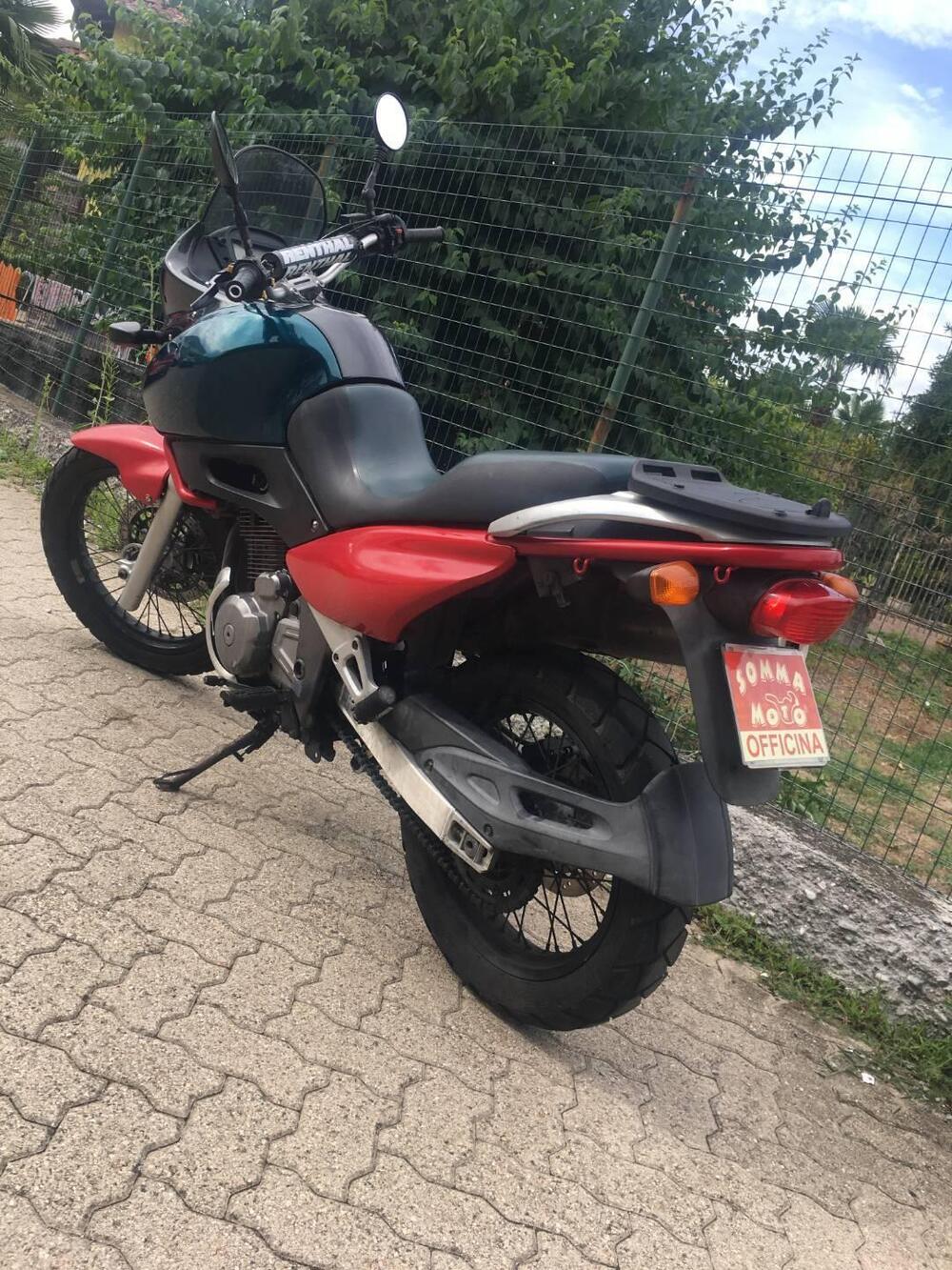 Suzuki XF 650 Freewind (1997 - 03) (8)