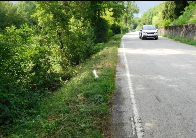 Belluno: motociclista travolto da una cerva, &egrave; grave