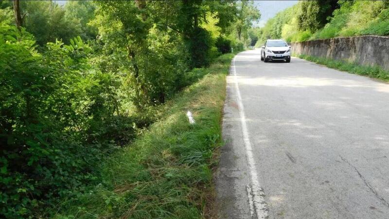 Belluno: motociclista travolto da una cerva, &egrave; grave