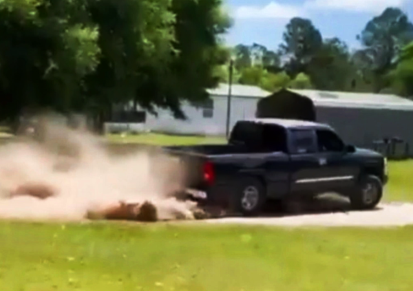 Tiktoker di 18 anni muore sbalzato e schiacciato dal suo pick-up durante uno dei suoi stunt [VIDEO]