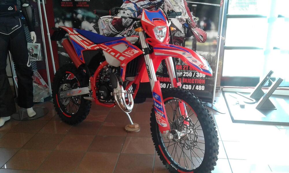 Betamotor RR 50 Enduro Racing (2021 - 25)