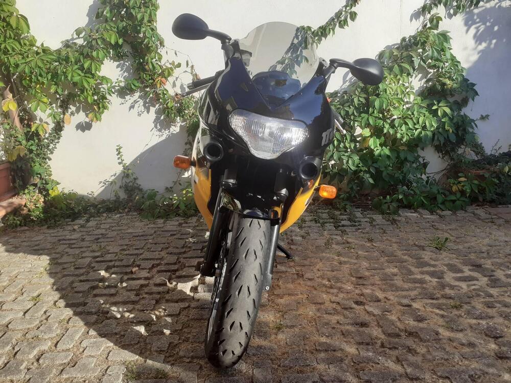 Triumph TT600 ASI (5)