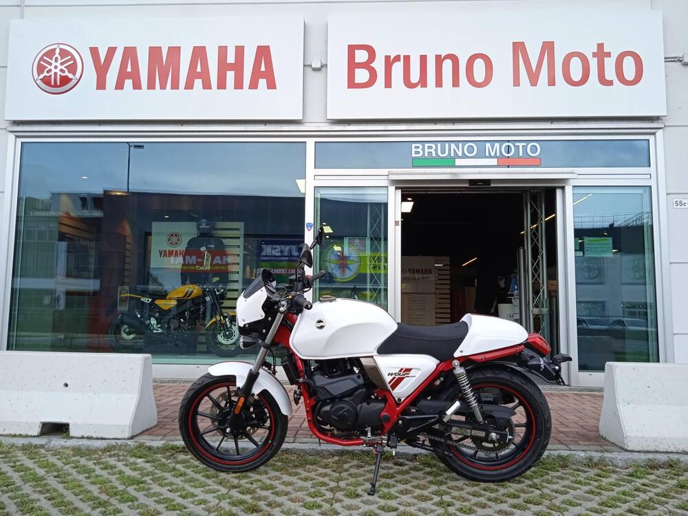 Sym Wolf CR 300 (2019 - 20) (2)