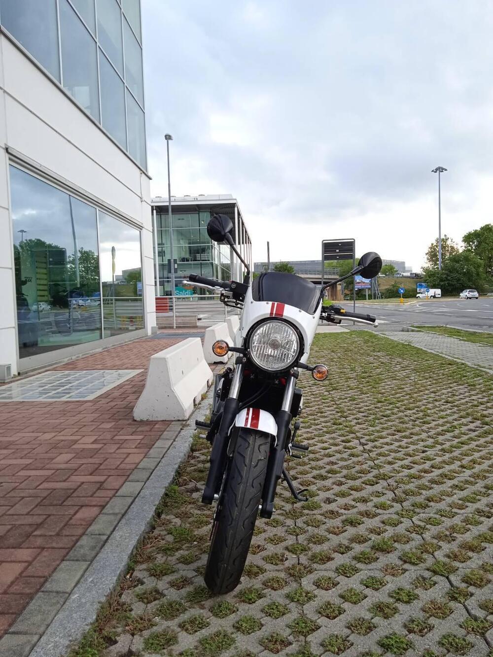 Sym Wolf CR 300 (2019 - 20) (3)