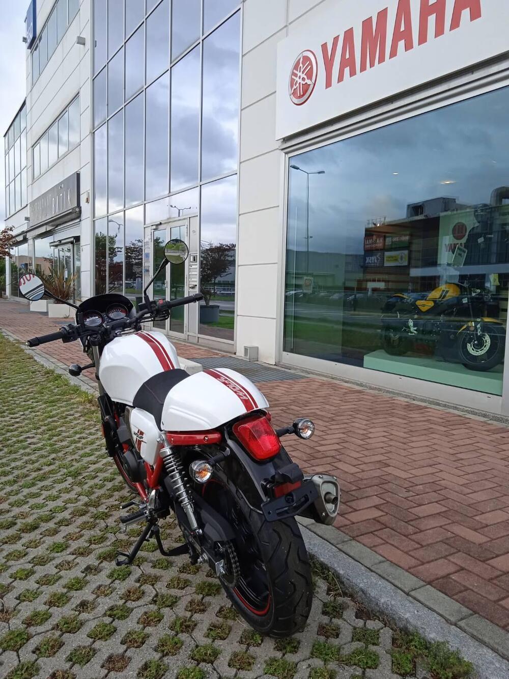 Sym Wolf CR 300 (2019 - 20) (4)