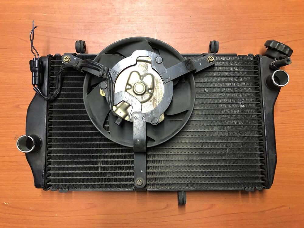 Radiatore Honda CBR 1100XX 99-06