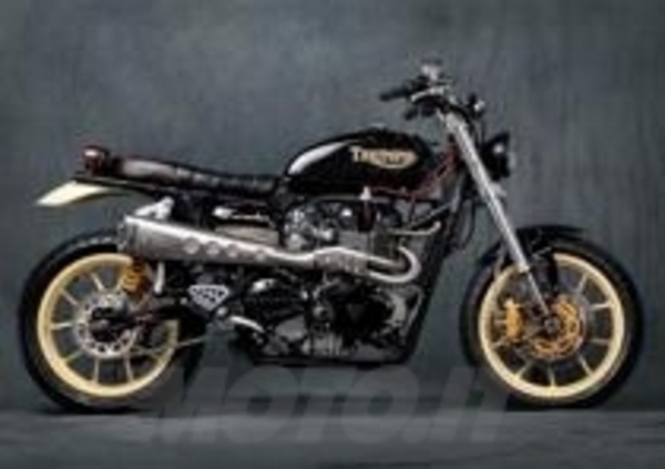 Show your Special. Triumph lancia la sfida tra i dealer per la special più bella