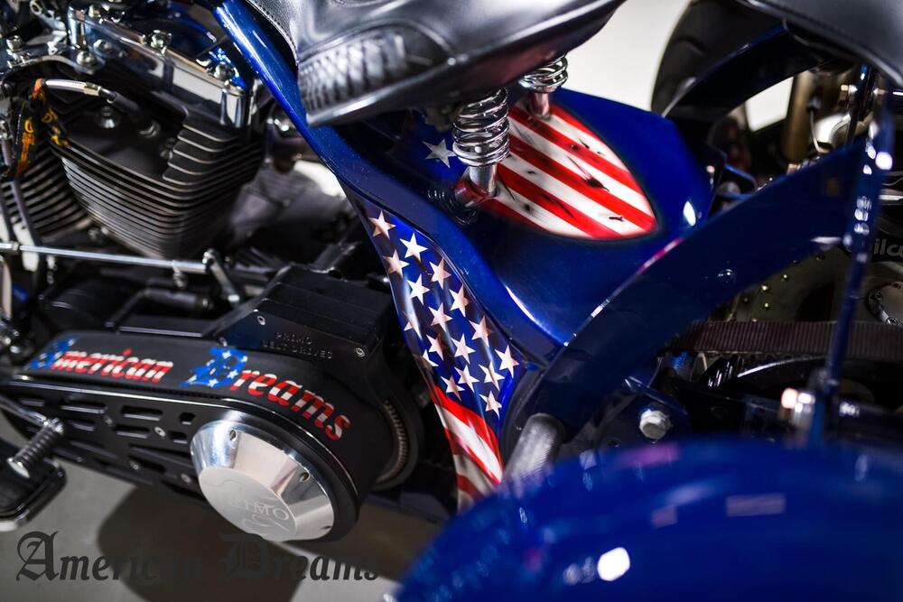 Harley-Davidson 107 Freewheeler (2017 - 18) - FLRT (17)