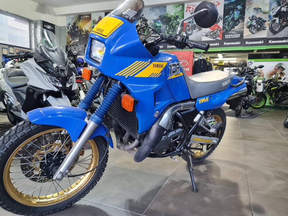 Yamaha TDR 250  (4)