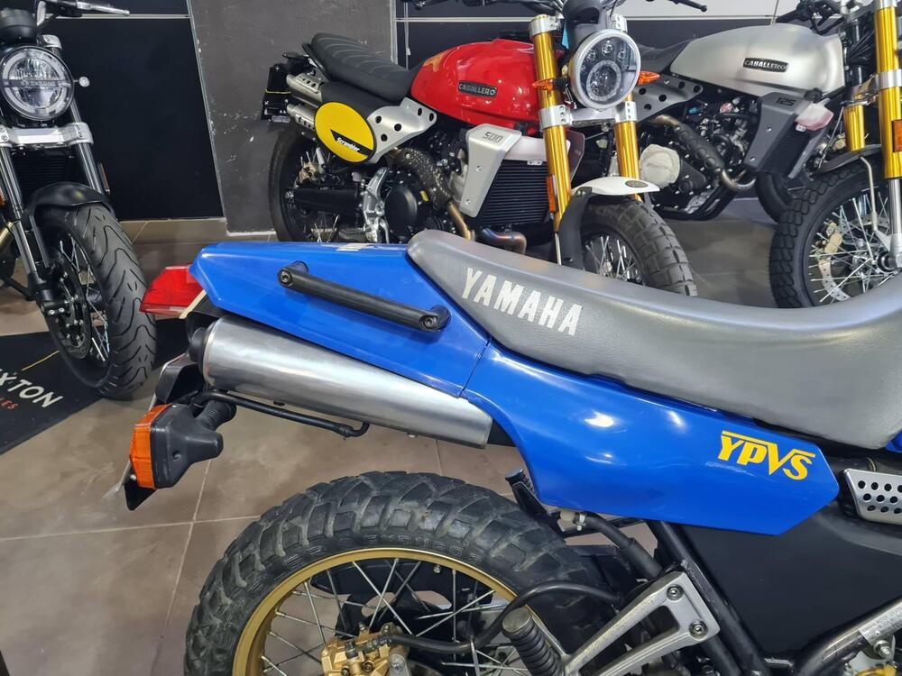 Yamaha TDR 250  (5)