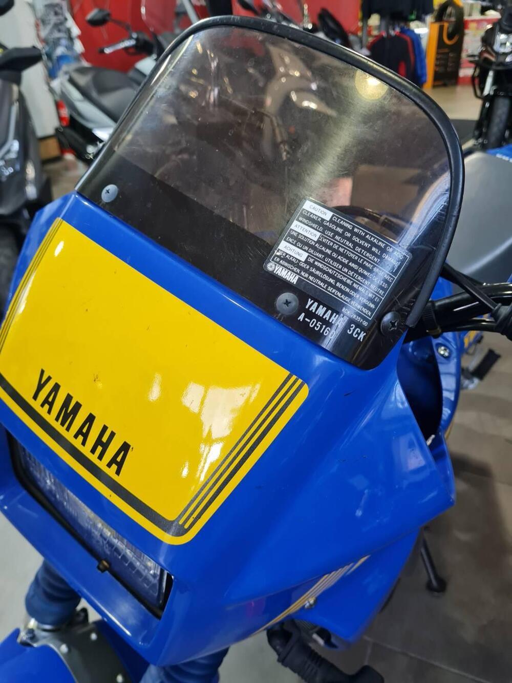 Yamaha TDR 250  (7)