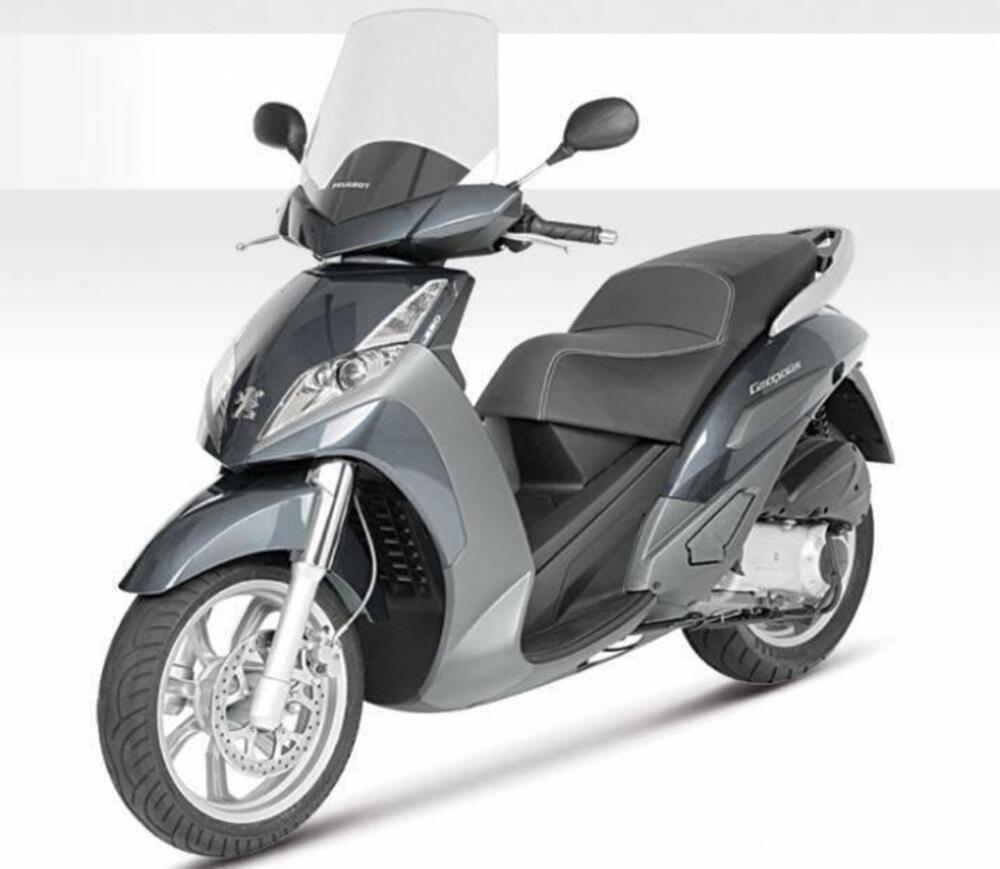 Parabretta Peugeot Georous 250 (2)