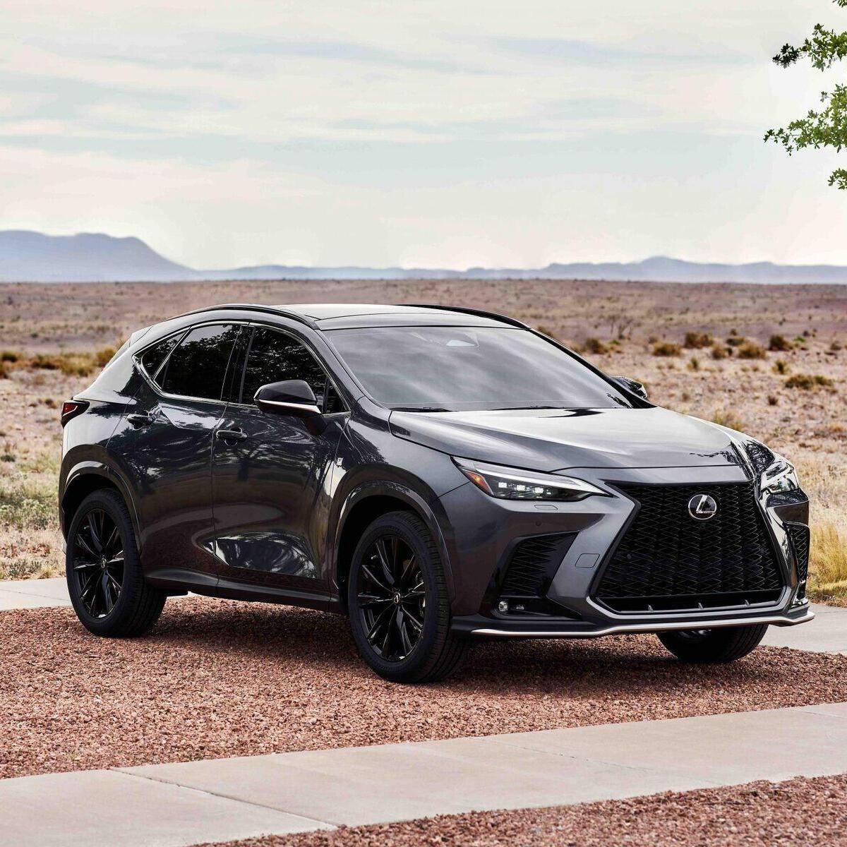 Lexus NX (2021--&gt;&gt;)