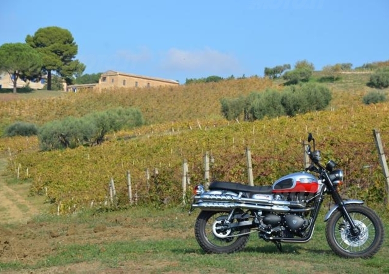 Vendemmia in Sicilia nelle tenute Tasca d&#039;Almerita. Un sogno da Gattopardo... ma in moto!