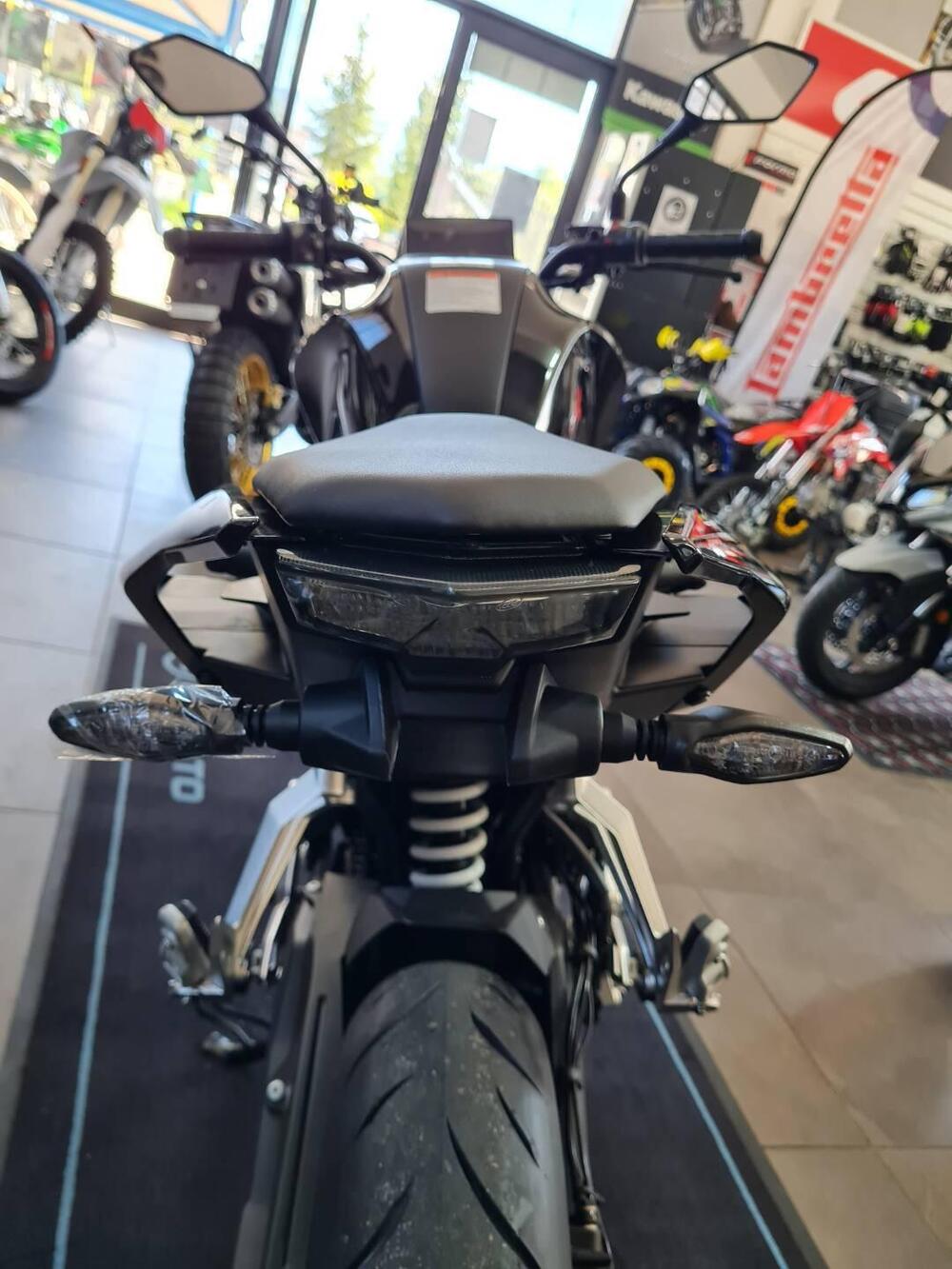 CFMOTO 300NK (2021 - 25) (5)