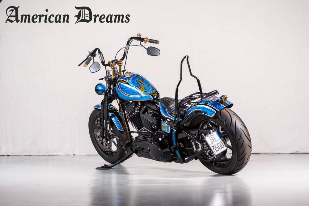 Harley-Davidson 1584 Cross Bones (2008 - 11) - FLSTSB (5)