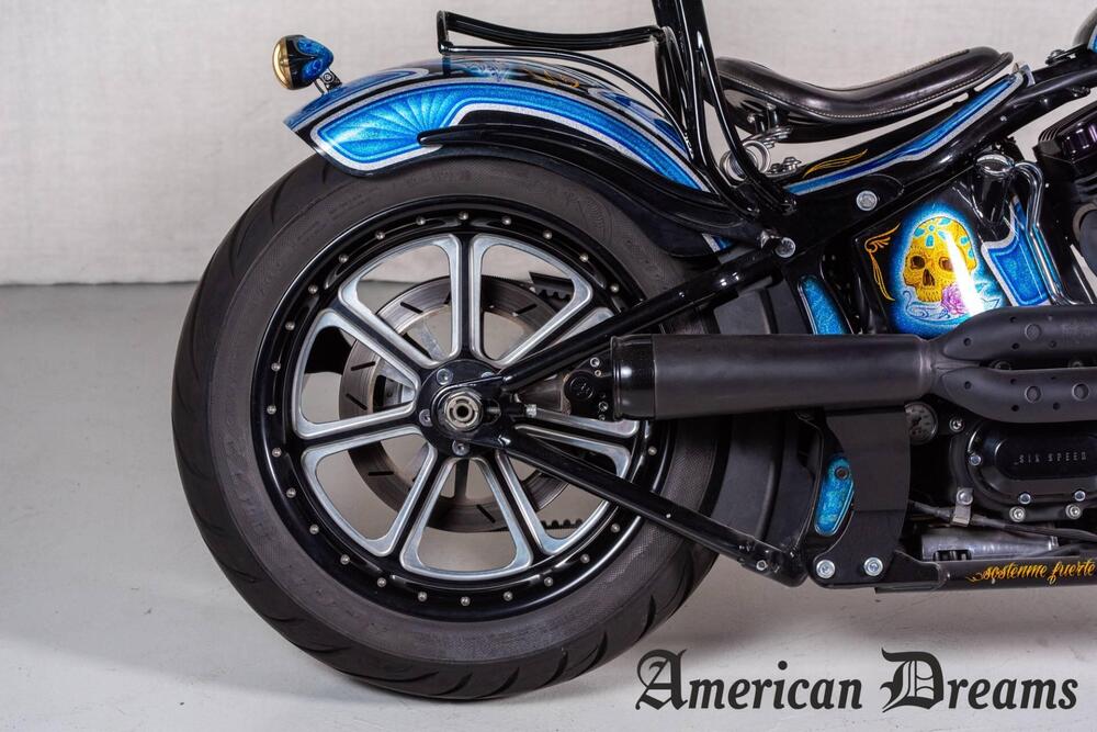 Harley-Davidson 1584 Cross Bones (2008 - 11) - FLSTSB (7)