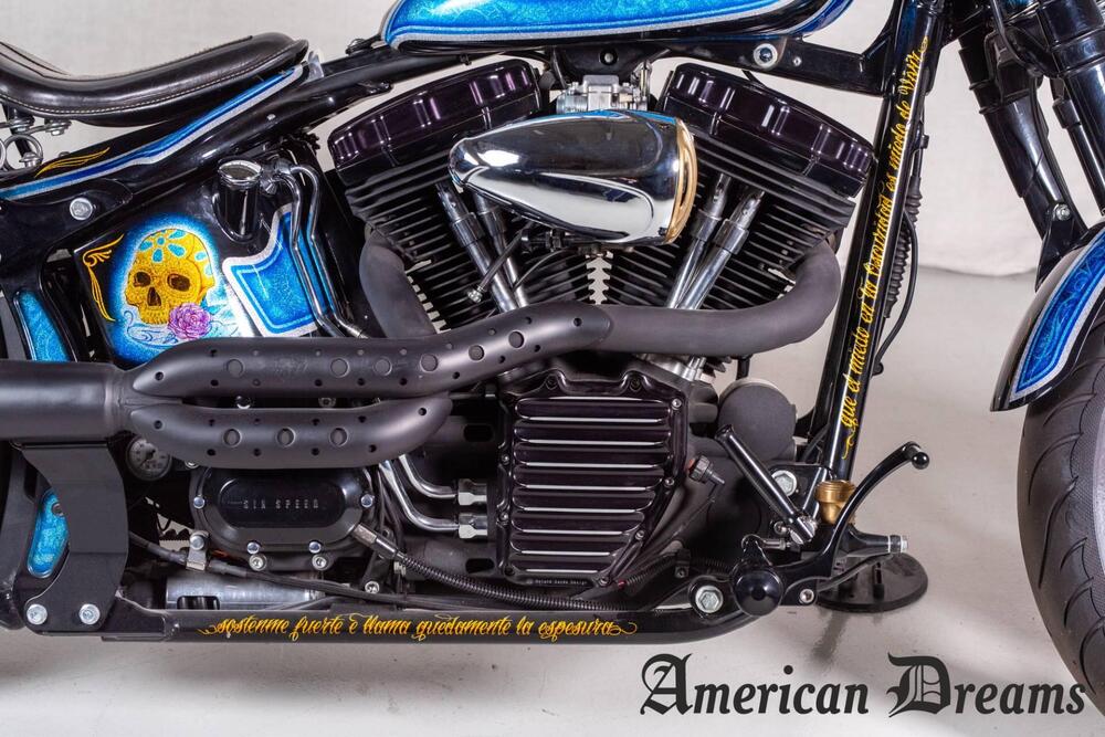 Harley-Davidson 1584 Cross Bones (2008 - 11) - FLSTSB (8)