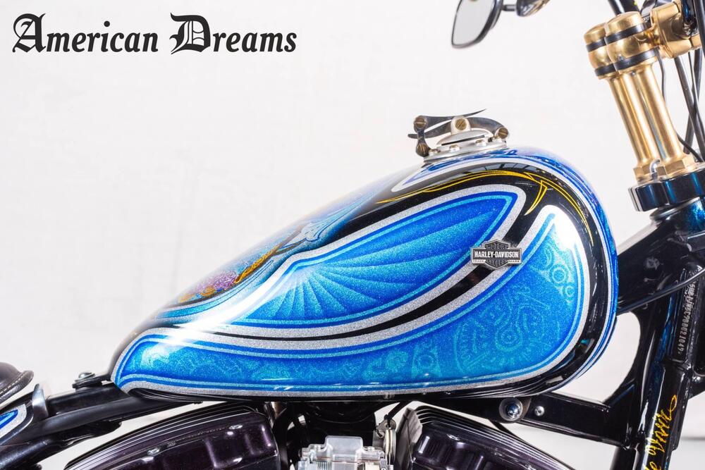 Harley-Davidson 1584 Cross Bones (2008 - 11) - FLSTSB (9)