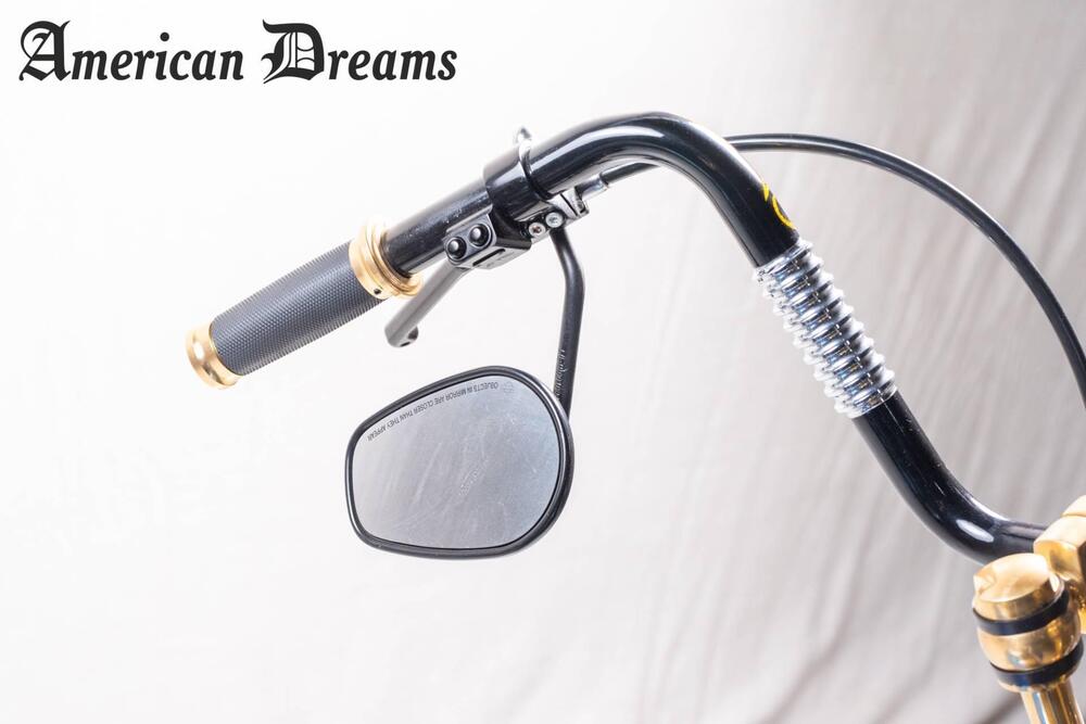 Harley-Davidson 1584 Cross Bones (2008 - 11) - FLSTSB (12)