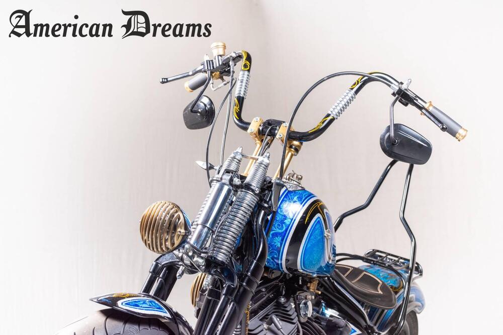 Harley-Davidson 1584 Cross Bones (2008 - 11) - FLSTSB (14)