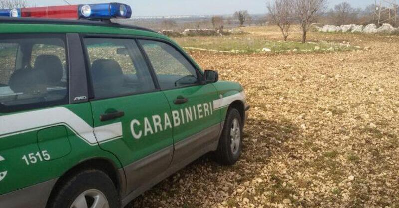 Isola d&#039;Elba: con le moto nel parco protetto, multati 11 centauri