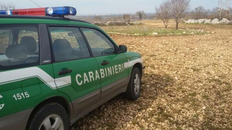 Isola d&#039;Elba: con le moto nel parco protetto, multati 11 centauri